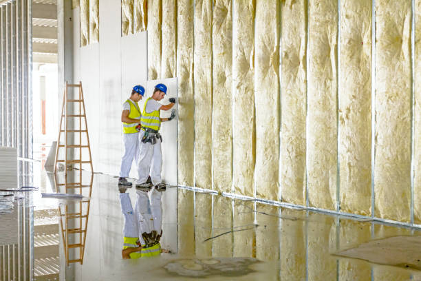 Best Residential Insulation in Slaton, TX